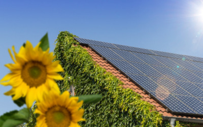 Rooftop solar panels deserve incentives; they’re not just for the rich